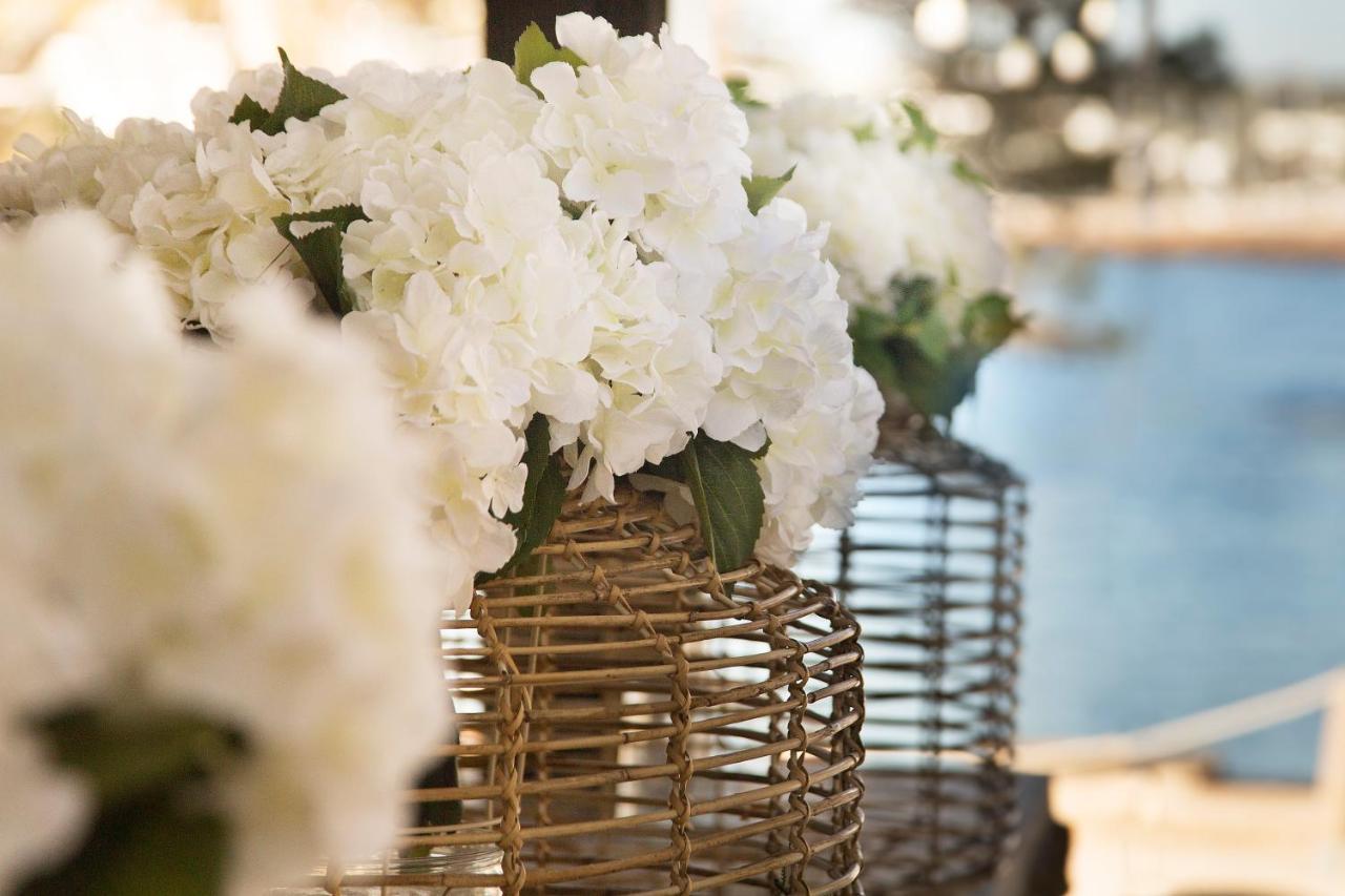 Catalonia Royal Ses Estaques-Adults Only Hotel ซานตาเอวเลเรียเดสริว ภายนอก รูปภาพ
